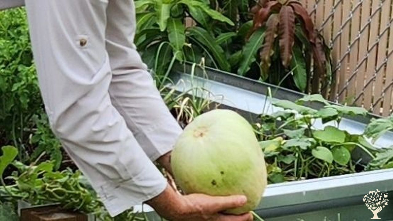Produce grown at Family Orchards