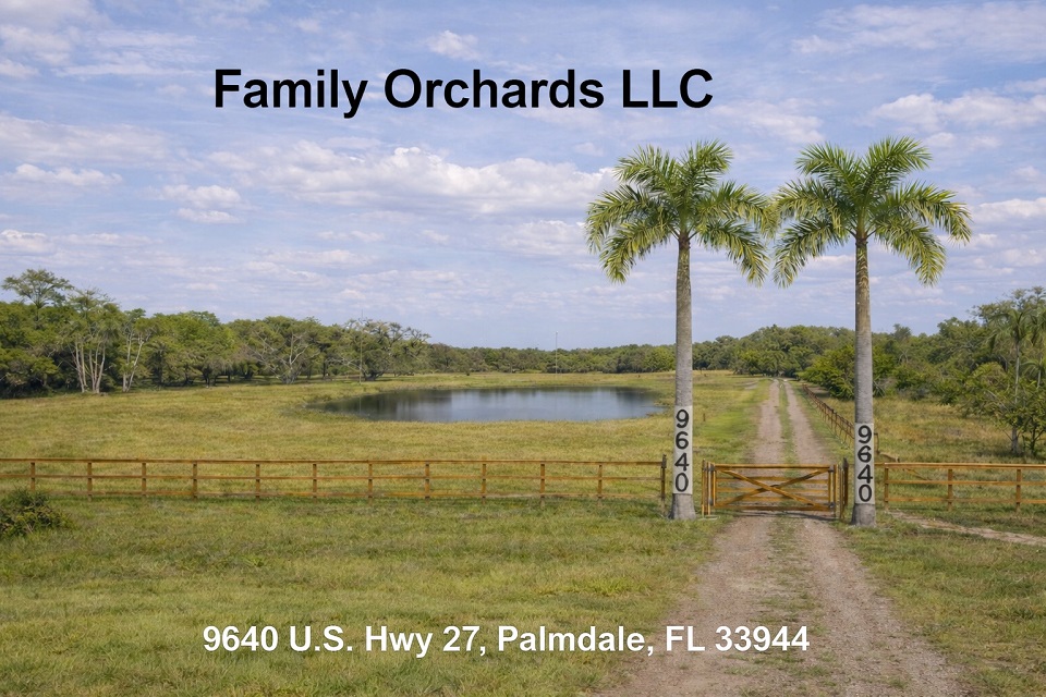 Entrance gate and orchard at Family Orchards